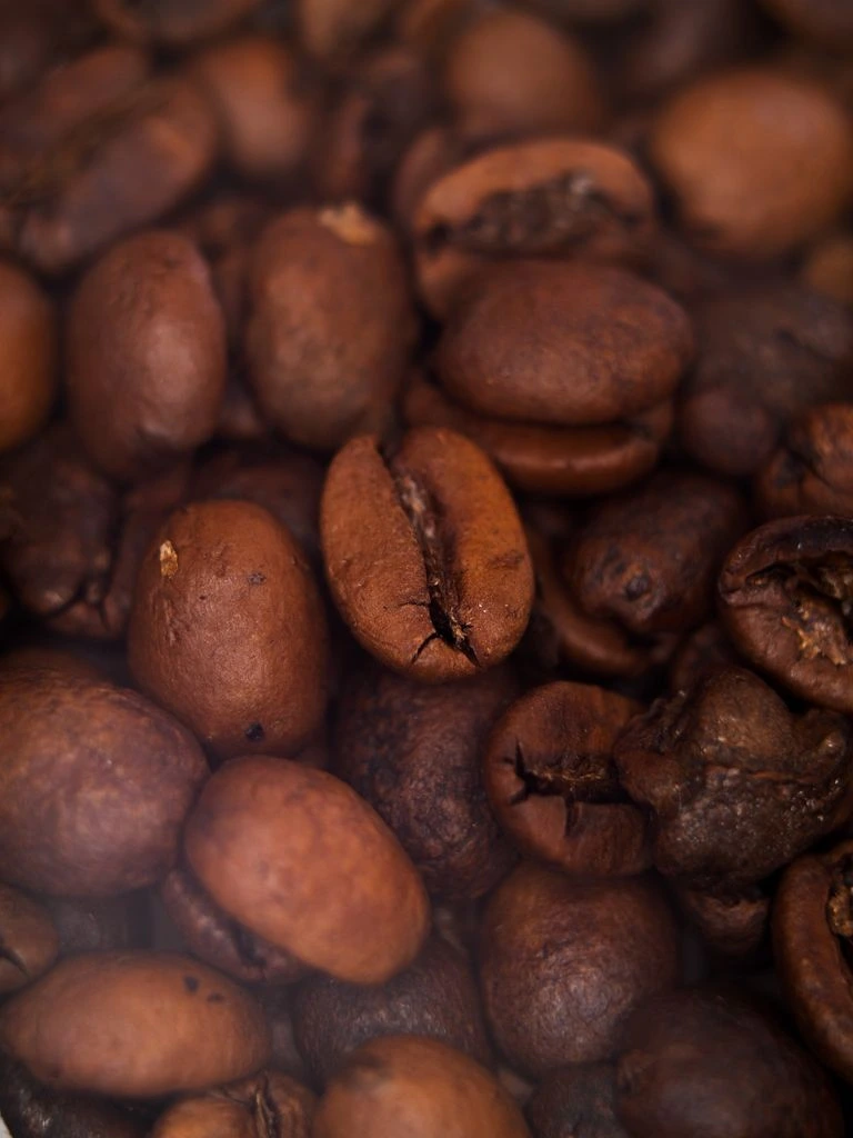 A roasted coffee bean resting on linen paper, warm afternoon light